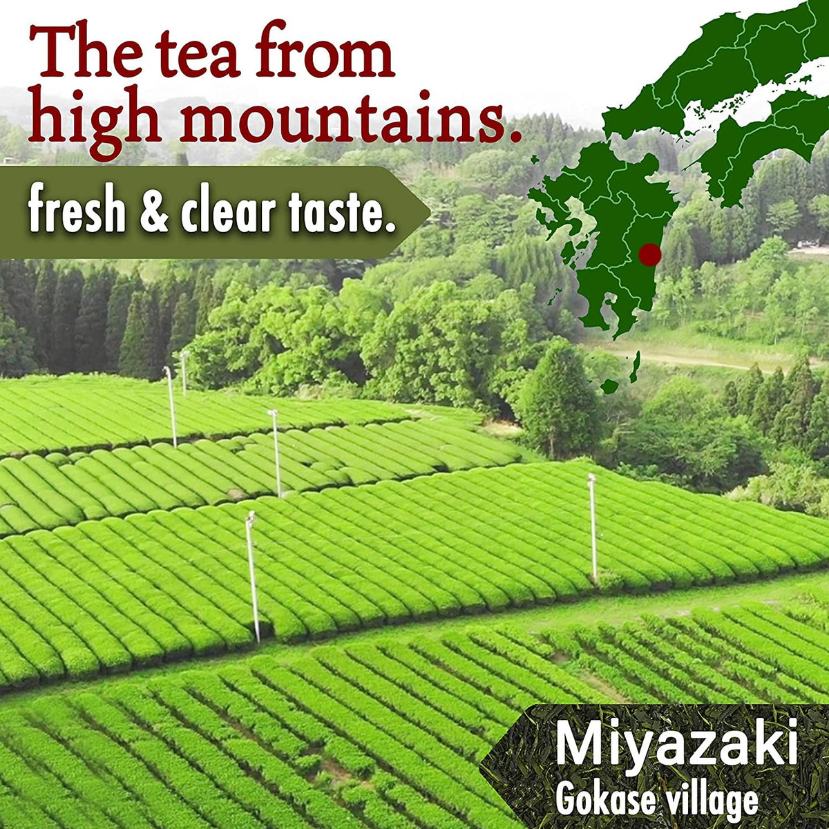 YAMASAN KYOTO UJI tea field Miyazaki image emphasizes authentic Japanese origin.