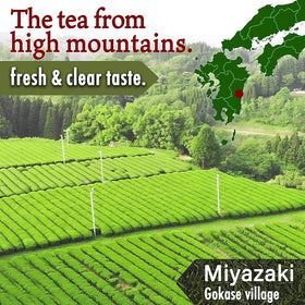 YAMASAN KYOTO UJI tea field Miyazaki image emphasizes authentic Japanese origin.