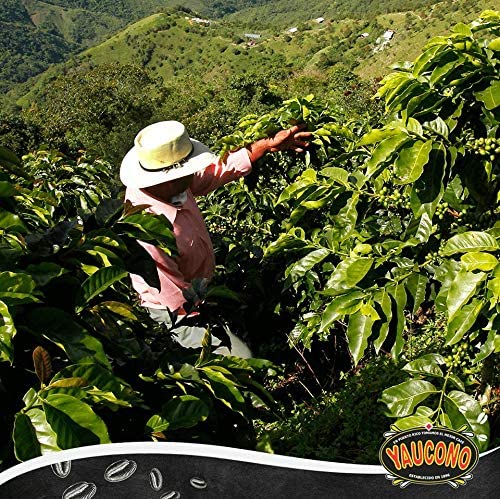14-ounce Yaucono bag ready for rapid brewing sessions.
