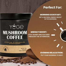 YEGE ingredients: cordyceps and lion's mane highlight cognitive-friendly blend