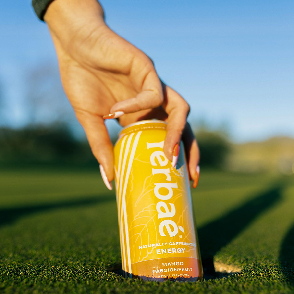 Yerbaé 12-pack box for convenient, on-the-go energy throughout the day.