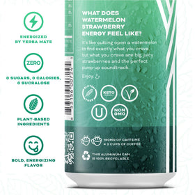 Yerbaé 12-pack flex pack display showcasing a sugar-free, calorie-free energy option.