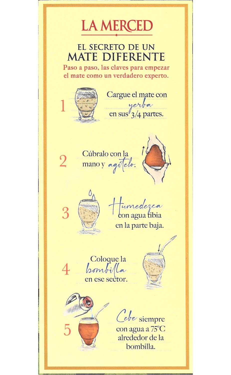 Brewed cup showing Yerbee La Merced Campo Sur with vibrant flavor and balanced body