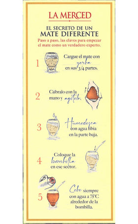 Brewed cup showing Yerbee La Merced Campo Sur with vibrant flavor and balanced body