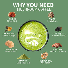 YISANFLO matcha mushroom powder jar highlighting premium ingredients and aroma