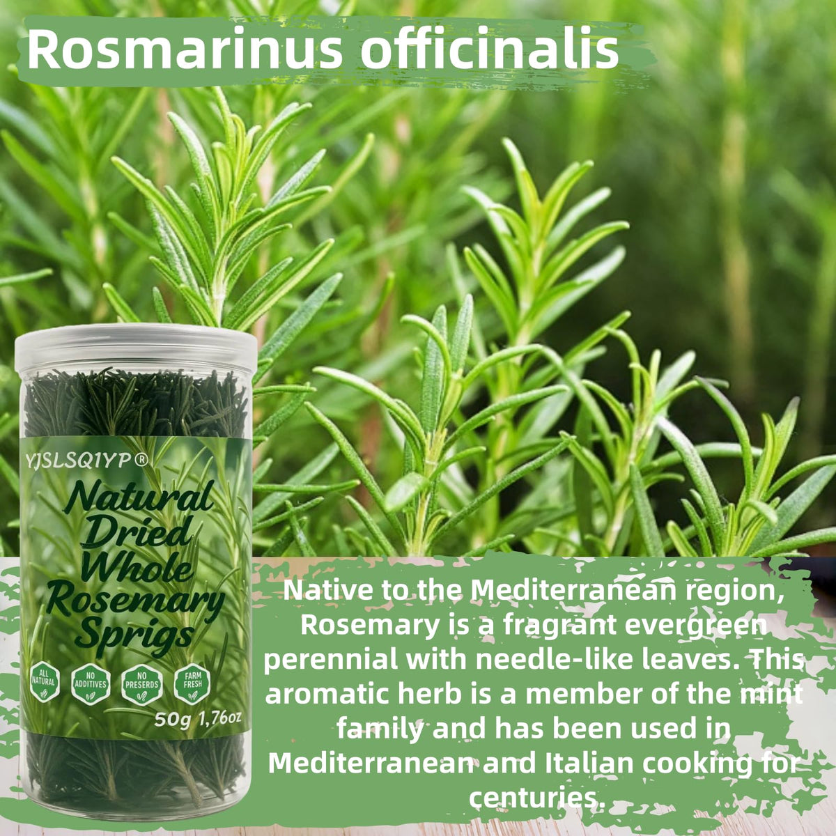 YJSLSQIYP rosemary bread in the oven for fragrant artisan loaf