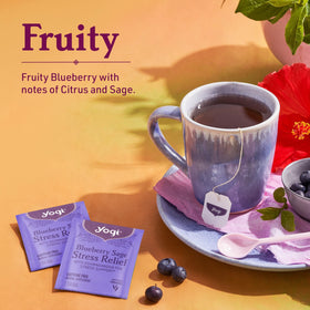 Ingredients highlight featuring Ashwagandha, blueberry, and sage used by Yogi.