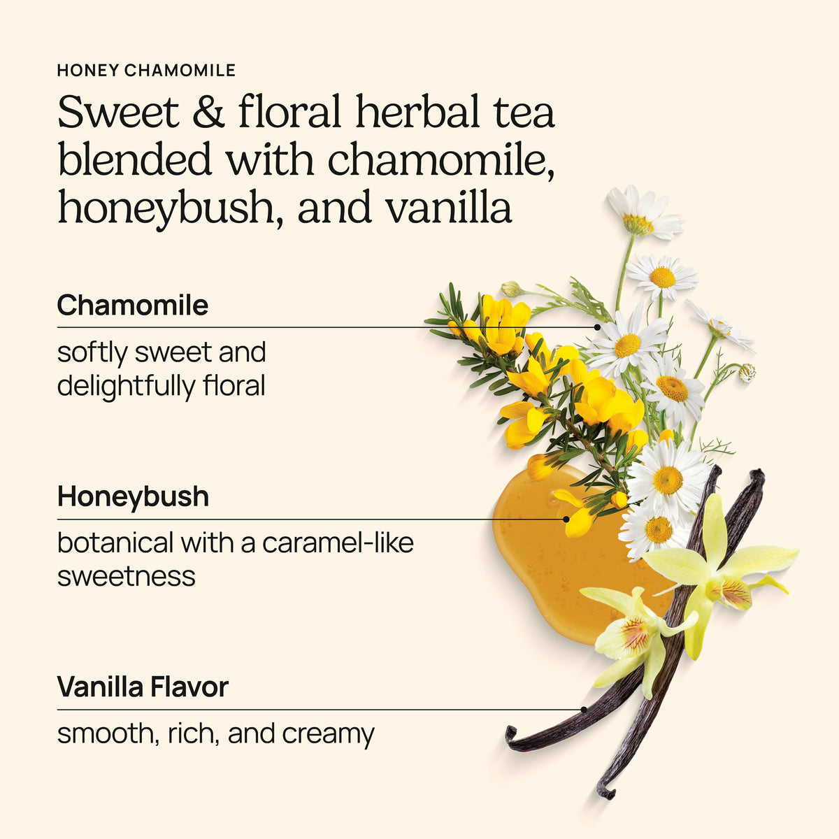 Front view of Yogi Honey Chamomile Tea organic packaging