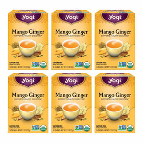 Yogi Mango Ginger tea bag with mango and spices ready to steep