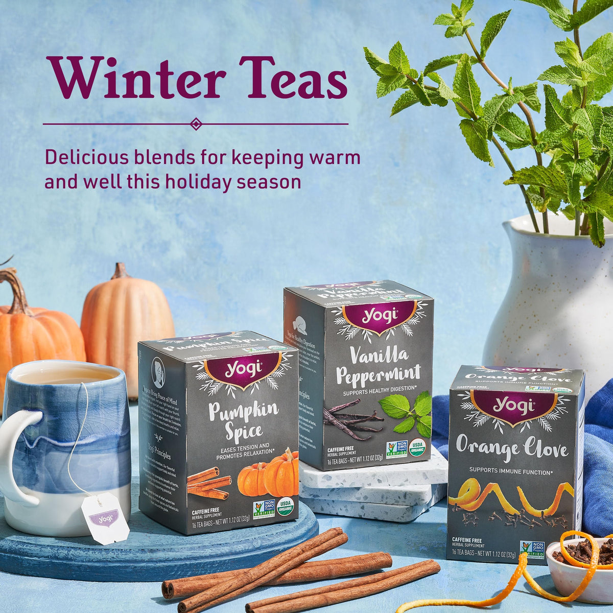Yogi Pumpkin Spice on a holiday table creating cozy moments