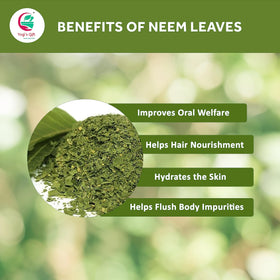 Neem leaves used for daily oral hygiene routines.