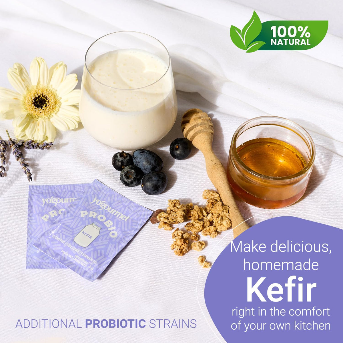 Visual of Yogourmet Kefir probiotic strains emphasizing gut-friendly possibilities.