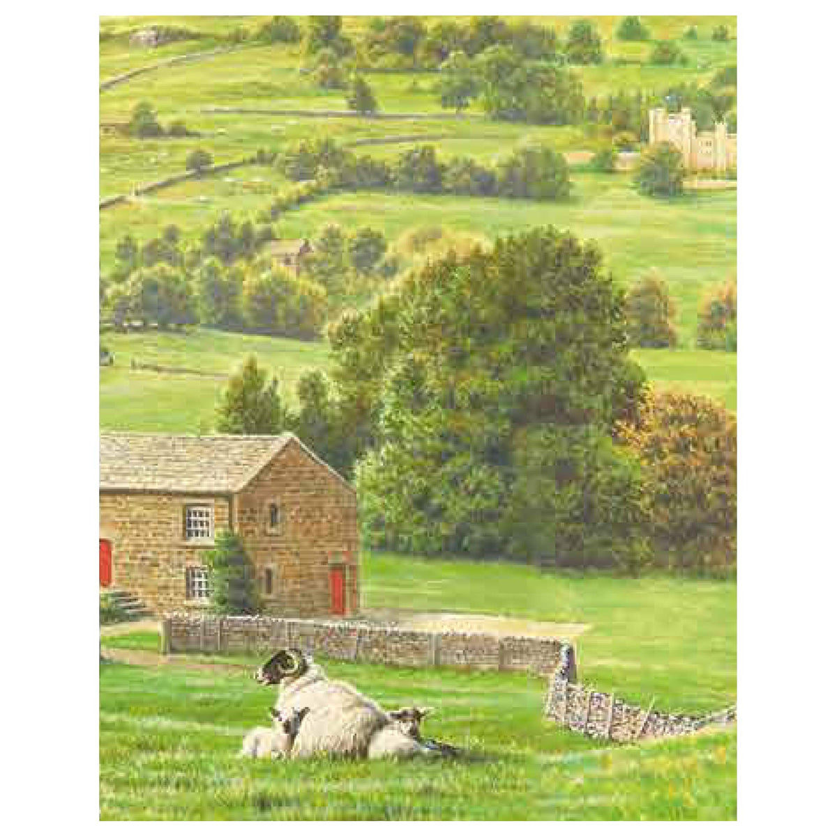 Close-up of Yorkshire Tea packaging emphasizing freshness and value