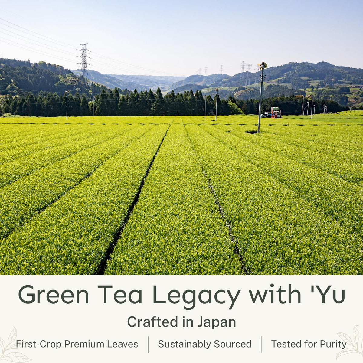Yu Tea cold matcha in a glass ideal for refreshing drinks.