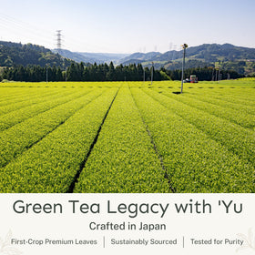 Yu Tea cold matcha in a glass ideal for refreshing drinks.