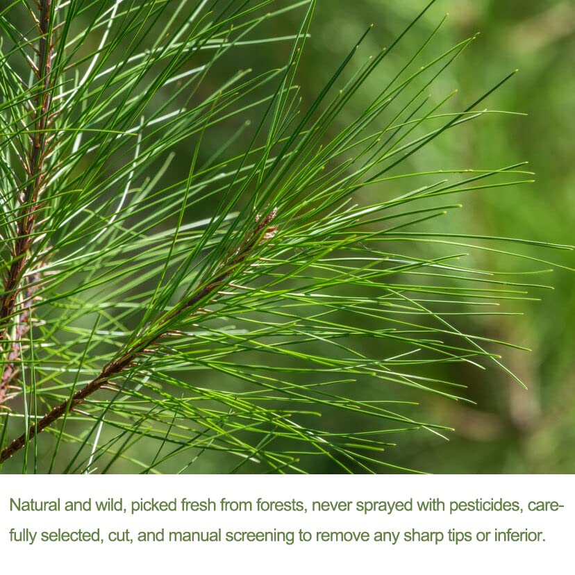 YUNHAHA non-GMO pine needles ensure clean, natural ingredients