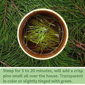 YUNHAHA lemon and honey pairing brightens the pine tea for balance