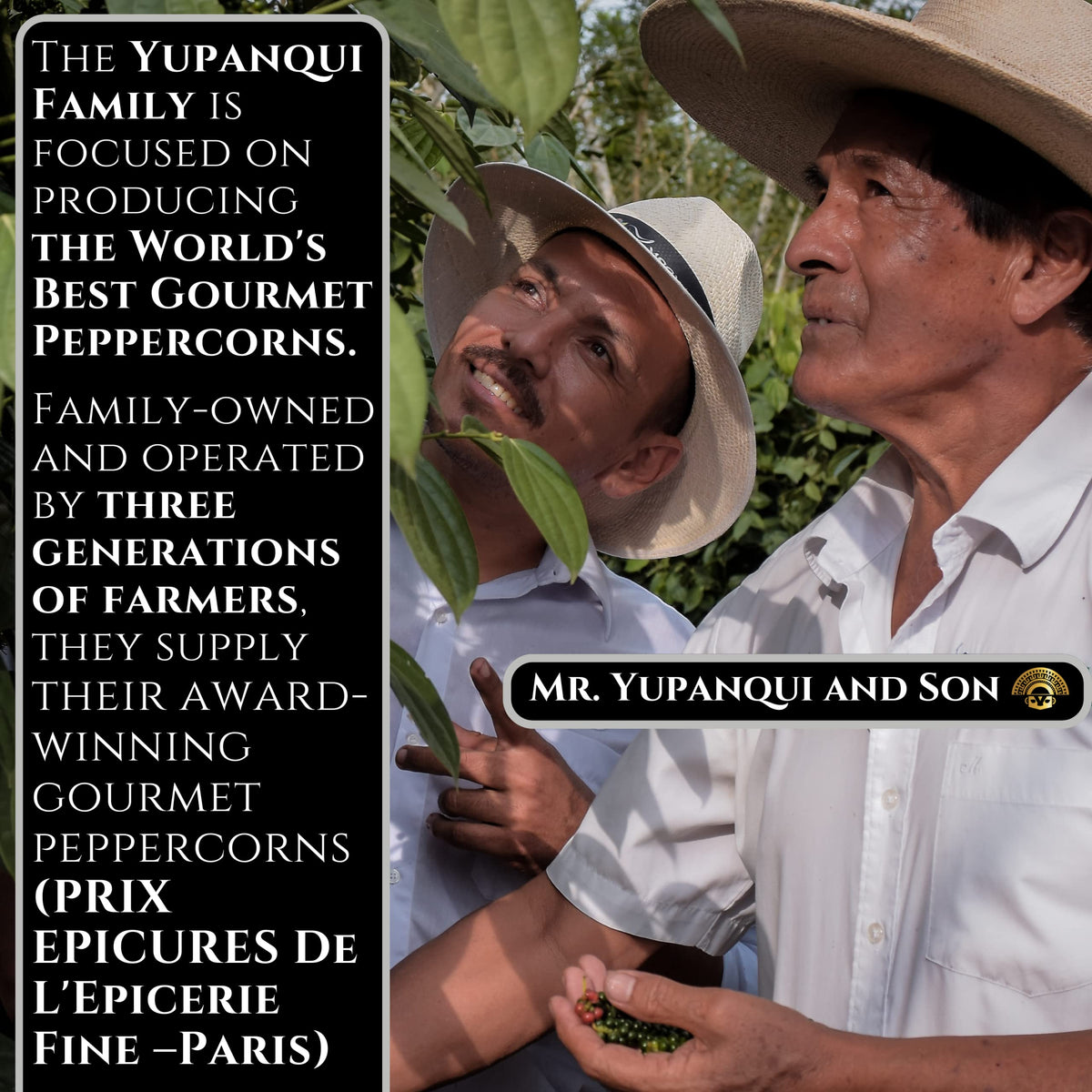 Yupanqui Black Imperial peppercorns for grinder refill, ready for everyday grinding