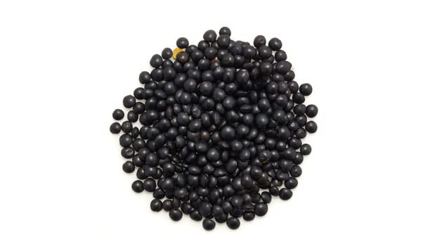 Cooked Yupik Beluga lentils in a bowl, versatile for salads.