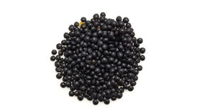 Cooked Yupik Beluga lentils in a bowl, versatile for salads.