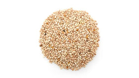Close-up of Yupik chia seeds showing tiny white grains and neutral flavor.