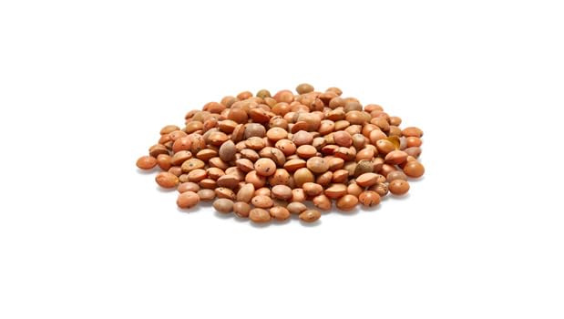 Cooked Yupik Brown Lentils in a bowl, perfect base for salads.