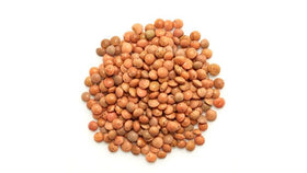 Raw Yupik Organic Brown Lentils in a dry bulk setting, versatile for stews.