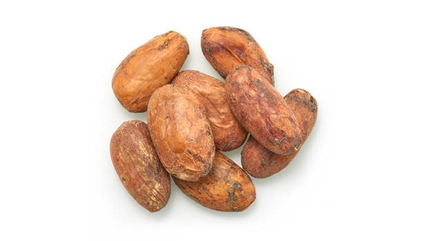Yupik raw cacao beans close-up shows fermentation and quality.