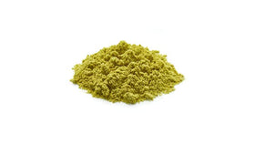 Yupik pumpkin seed protein powder in a shaker bottle for fast blends.