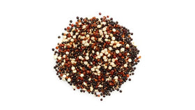 Yupik tri-color quinoa, fluffy and tender after cooking, perfect as a base for grain bowls.