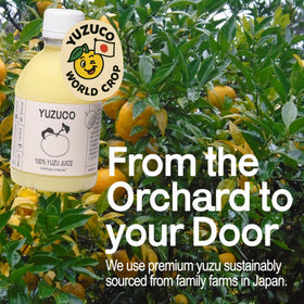 YUZUCO dressings and sauces jar for flavorful culinary creations.