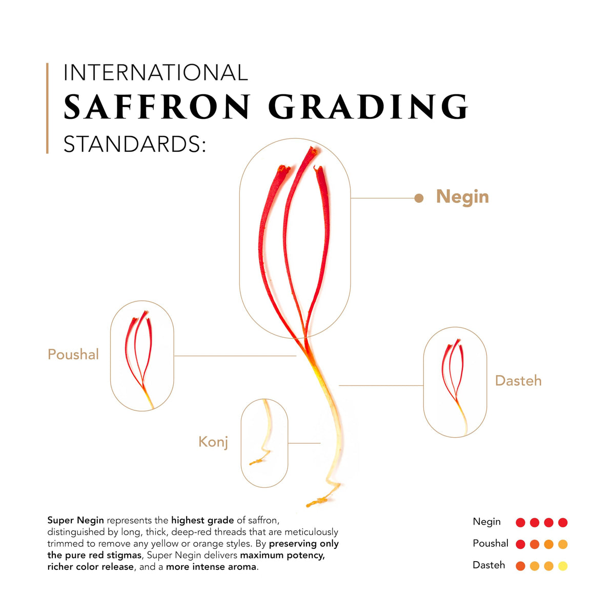 Zaran Saffron Measuring spoon demonstrates precise addition to recipes.