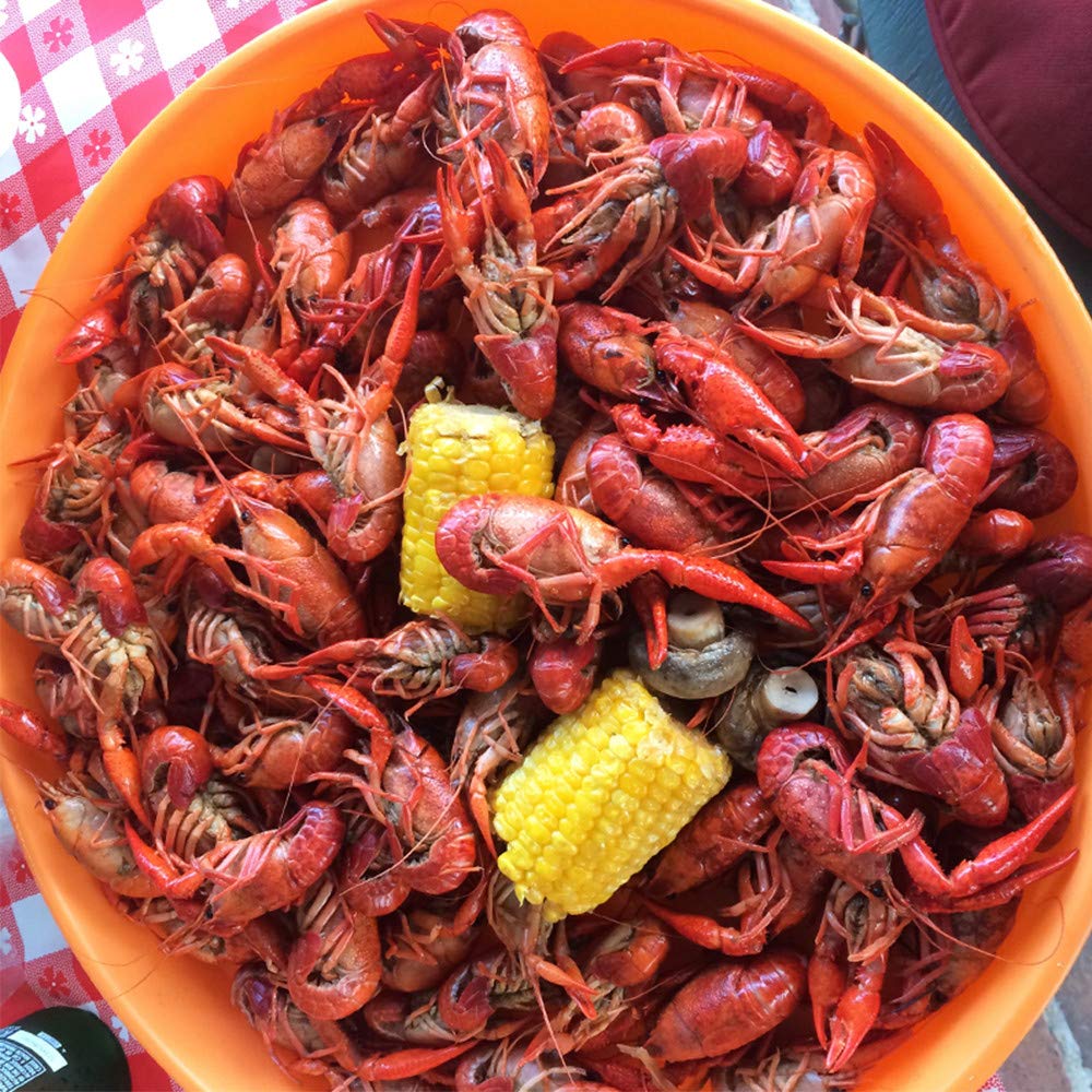 Zatarain's family seafood boil feast, captured as a shared, flavorful experience.