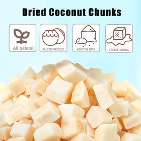 ZCFIKJ dried coconut chunks in a bowl perfect for snacking