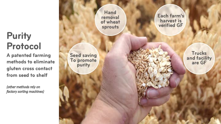 ZEGO oats ready for baking or granola in a cozy kitchen