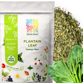 Zemlyana Plantain Leaf cut and sifted for easy measuring and quick steeping
