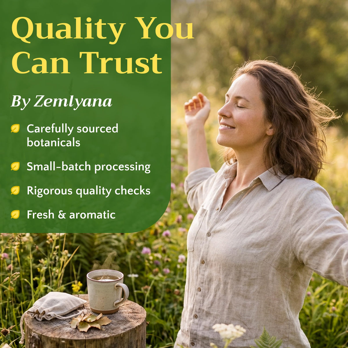 Zemlyana Plantain Leaf ideal for oil infusions and herbal salves