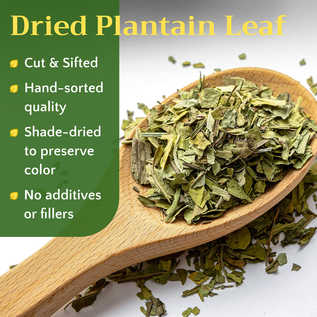 Zemlyana Plantain Leaf wild-harvested leaves ready for daily herbal teas