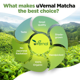 Zen Tea Leaf matcha smoothie blend highlighting natural sweetness and balanced focus.