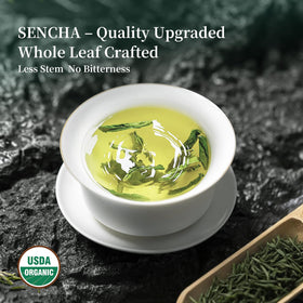 ZenVerdant packaging shows USDA Organic certification for trusted quality.