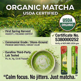 ZenRitual first-flush matcha powder showcasing a smooth creamy profile