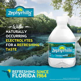 Zephyrhills Florida Spring Water multipack display highlighting minis.