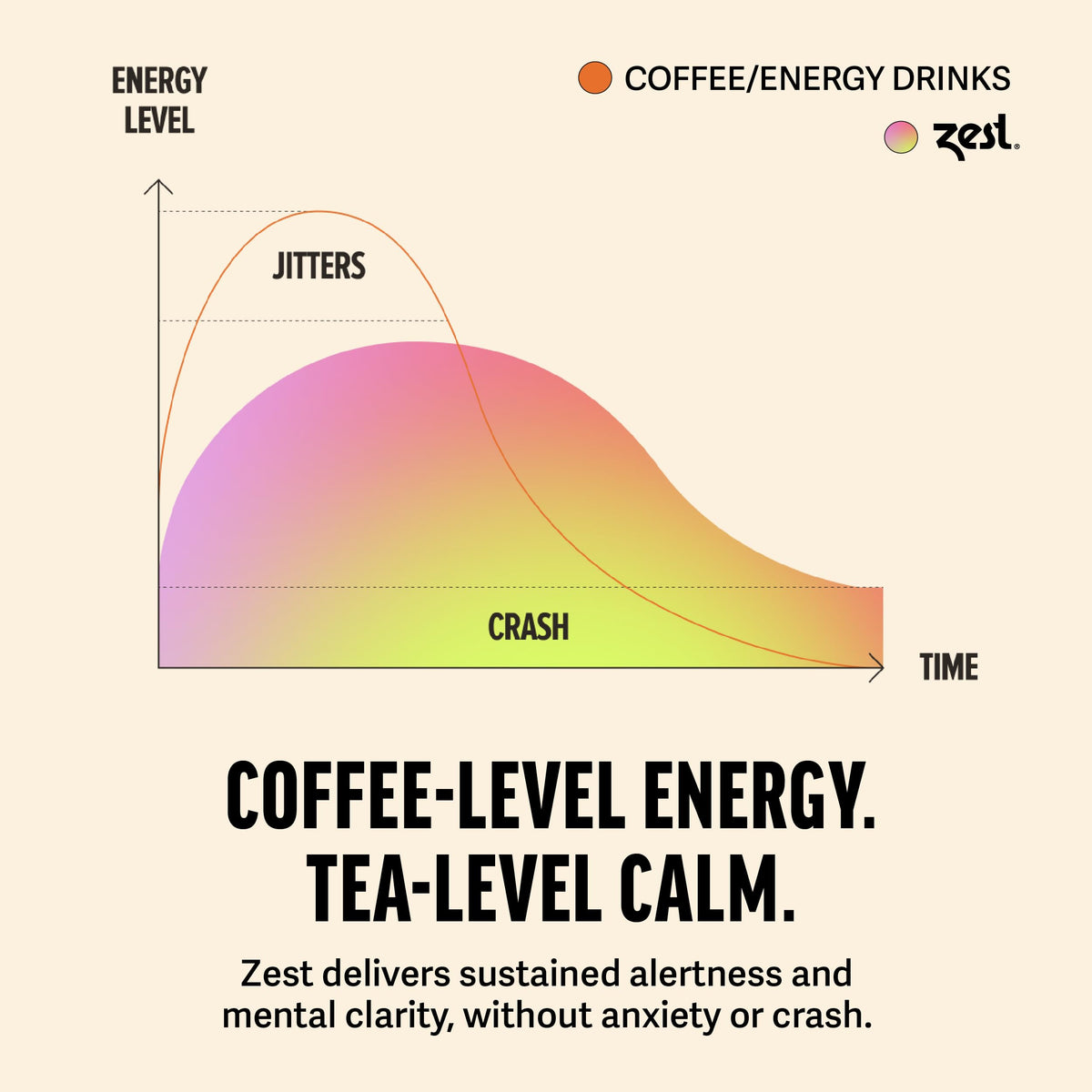 ZEST Black Breakfast pyramid tea bag ready to brew for a bold morning.