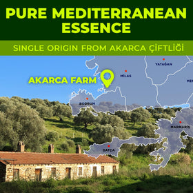 Cold-pressed olive oil in a glass bottle preserves aroma and polyphenol potency