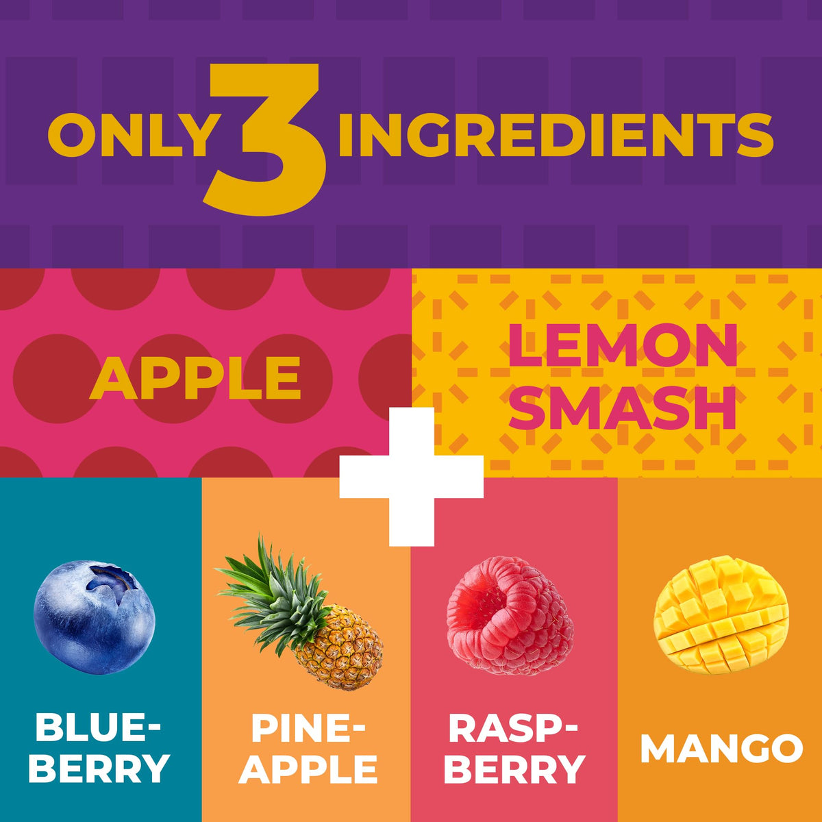 ZEST Delites apple-raspberry bar, lunchbox-friendly snack.