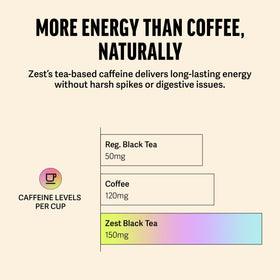 Hot or iced, ZEST energy tea suits busy days