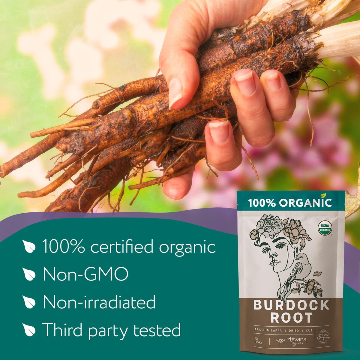 Zhivana Organics burdock root tea loose leaf in scoop for easy daily brewing