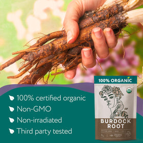 Zhivana Organics burdock root tea loose leaf in scoop for easy daily brewing