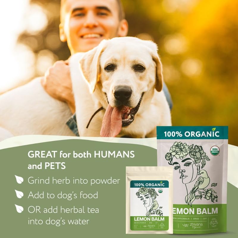 Zhivana Organics hand-picked lemon balm leaves from Ukraine showcasing freshness.