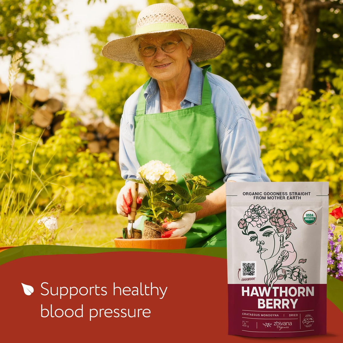 Zhivana Organics hawthorn berries from European-origin fields ensuring quality.